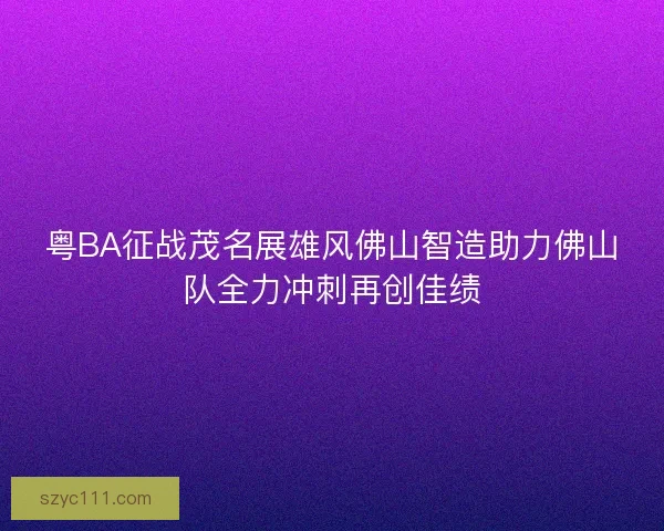 粤BA征战茂名展雄风佛山智造助力佛山队全力冲刺再创佳绩